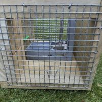 Doc 200 Rat/Stoat trap back view